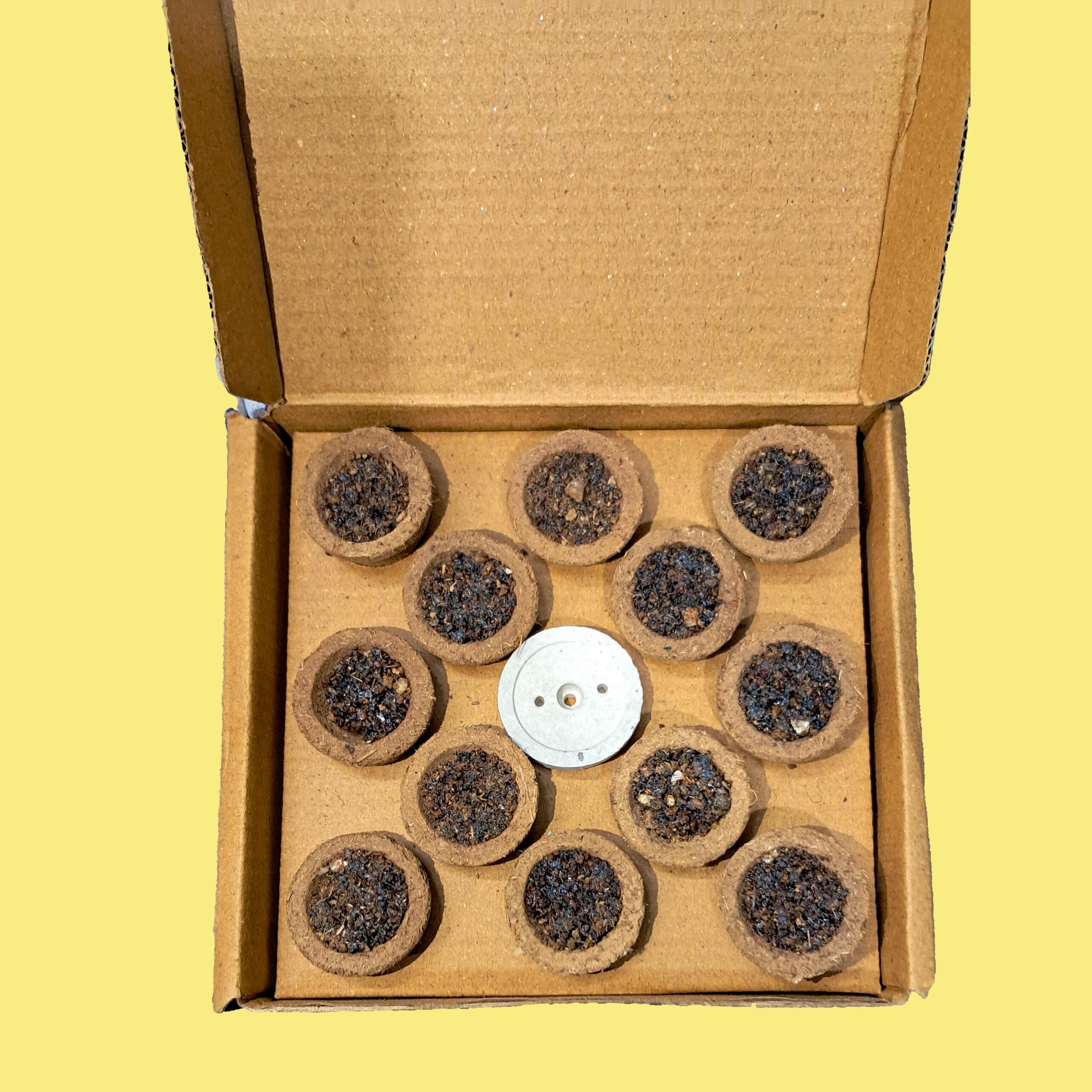 Pack of 12 Naturecure Havan Cups for Meditation, Puja Rituals, and Natural Mosquito Repellent